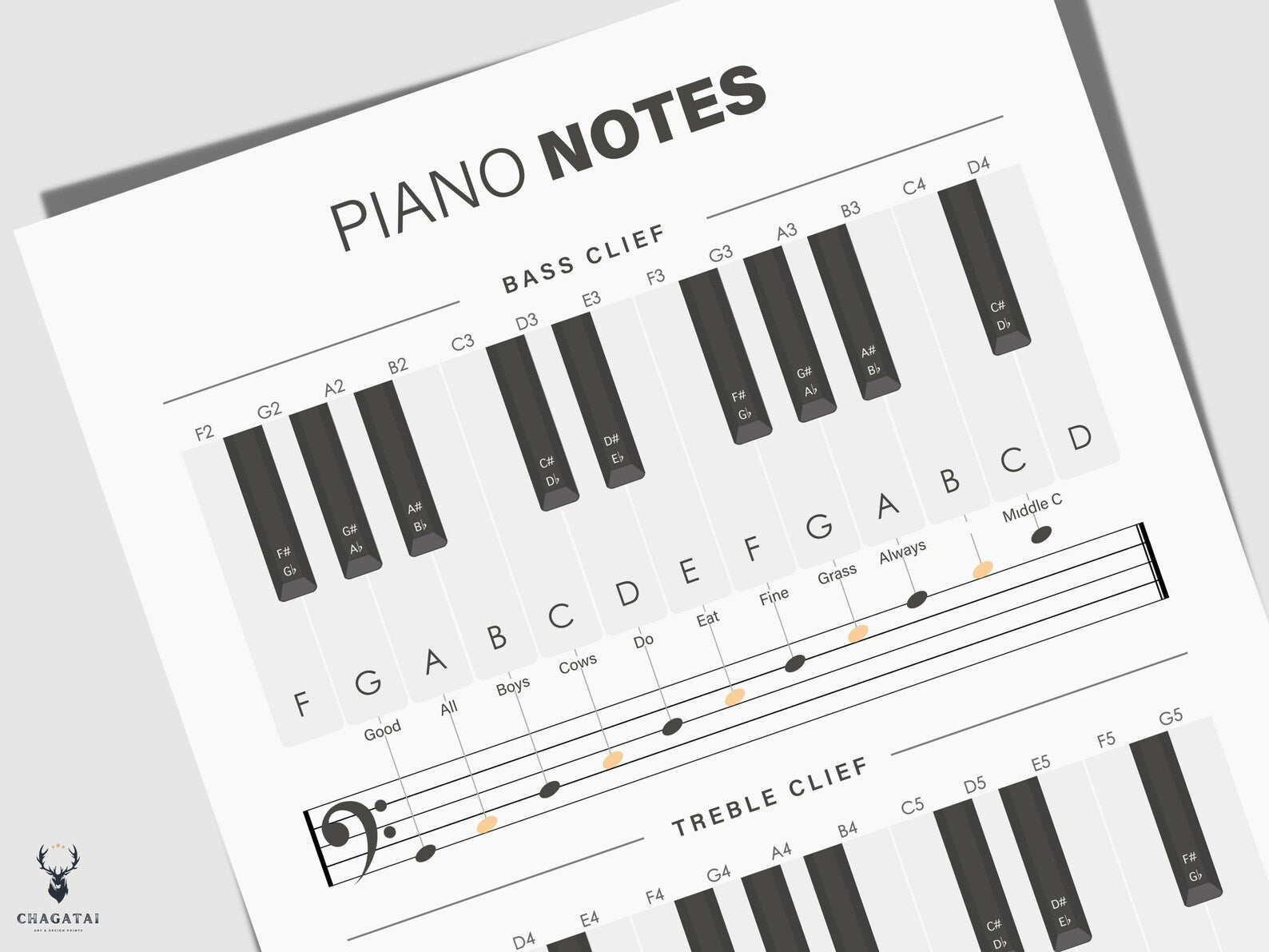 Piyano Nota ve Skala Posteri - Temel Müzik Bilgileri Kılavuzu