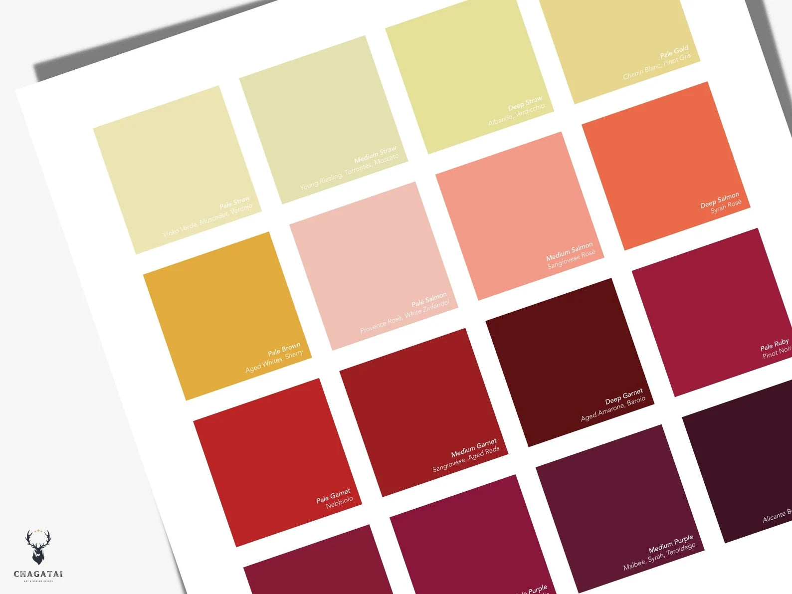 Şarap Renkleri Posteri – Wine Color Chart Duvar Dekoru