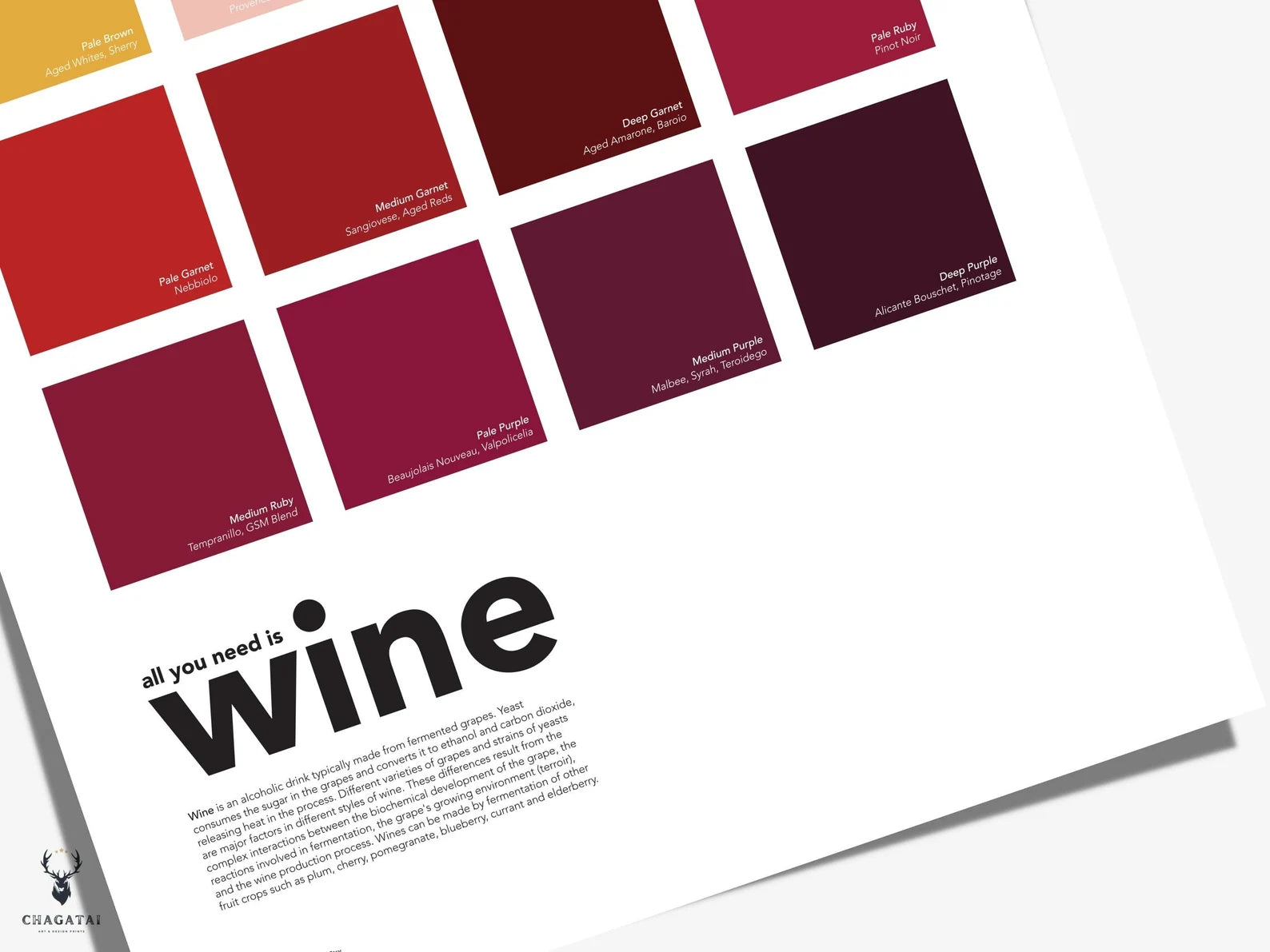 Şarap Renkleri Posteri – Wine Color Chart Duvar Dekoru