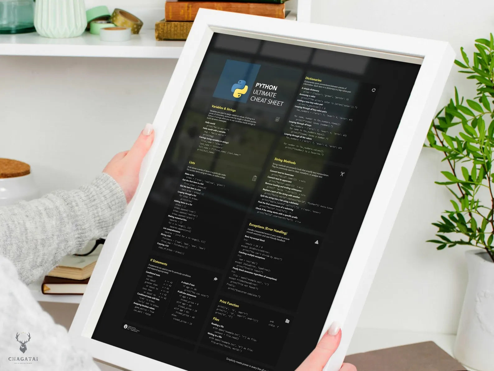 Python Programlama Dili Posteri - Veri Bilimi ve Web Geliştirme Referans Posteri