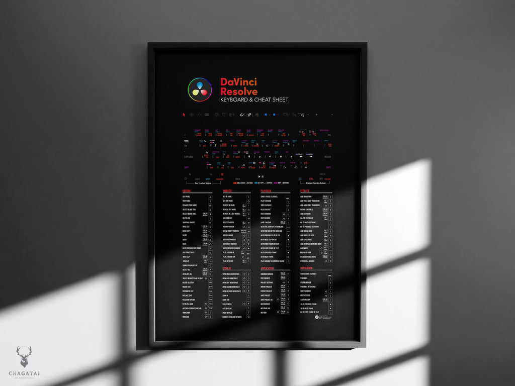 DaVinci Resolve Klavye Kısayolları Posteri - Profesyonel Video Editörleri İçin