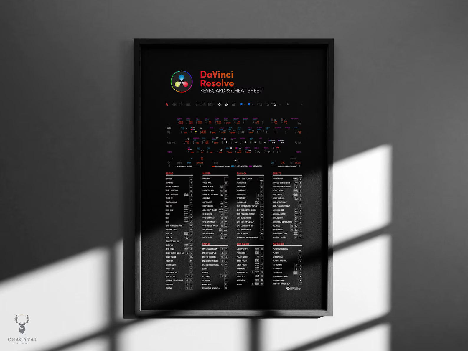 DaVinci Resolve Klavye Kısayolları Posteri - Profesyonel Video Editörleri İçin