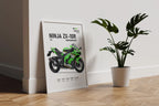 2025 Kawasaki Ninja ZX-10R Poster - Motor Posterleri No.28