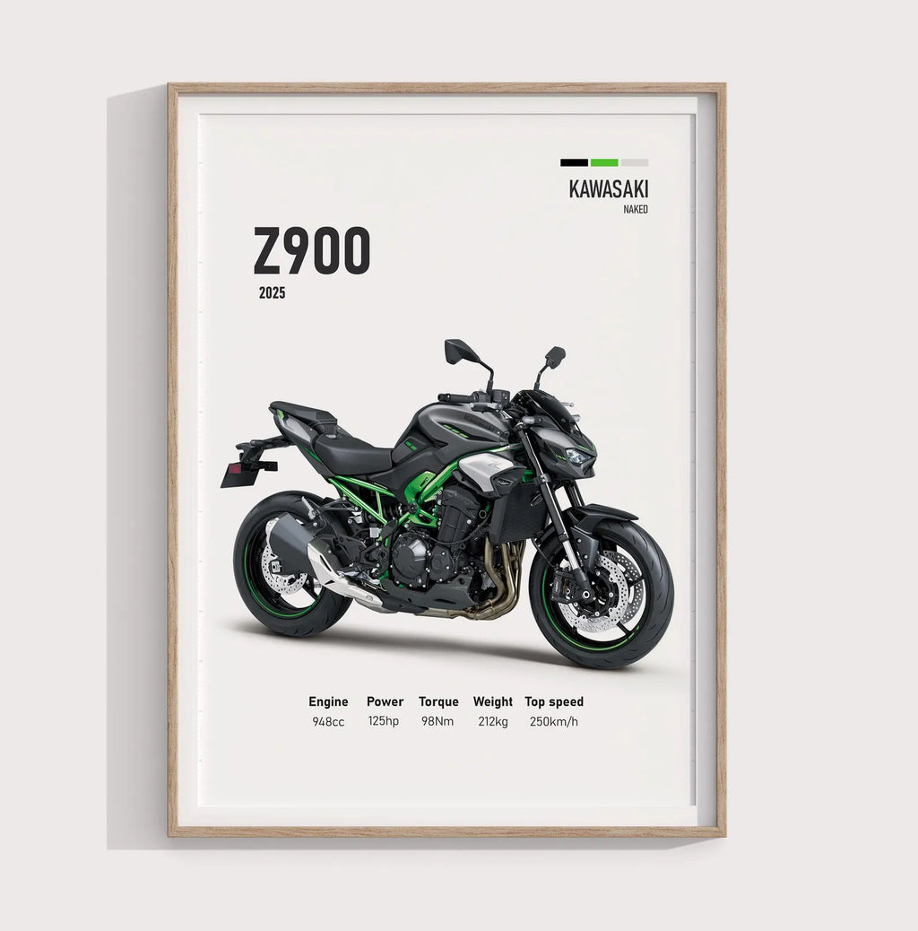 2025 Kawasaki Z900 Poster - Motor Posterleri No.23