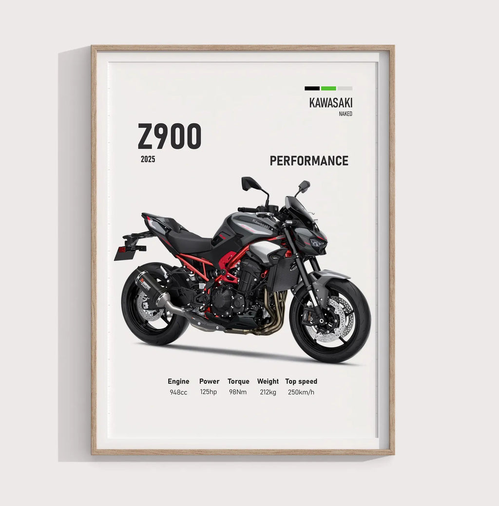 2025 Kawasaki Z900 Poster - Motor Posterleri No.24