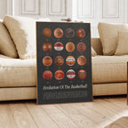 Basketbol Posteri – Spor Duvar Posterleri No.2